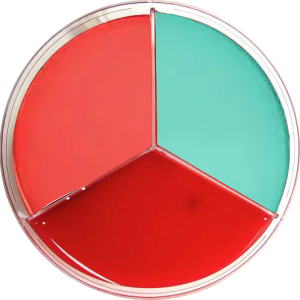 DNAse /Blood / Mannitol